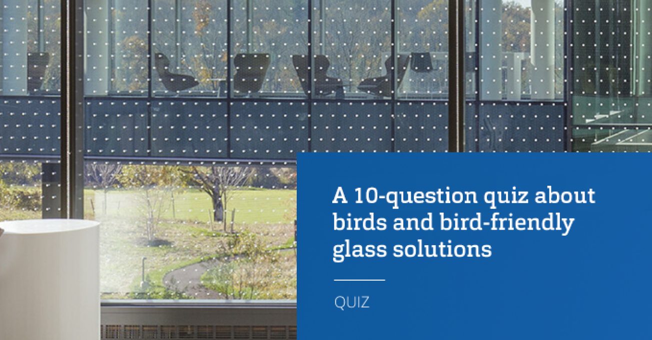 Test your knowledge about bird friendly glass solutions