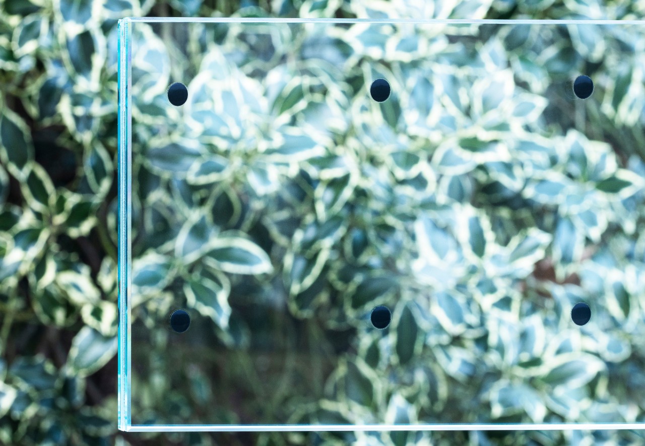 Bird1st Lami – co vidíte zevnitř