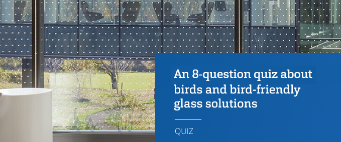 [Quiz] Test your knowledge about birds and bird-friendly glass solutions