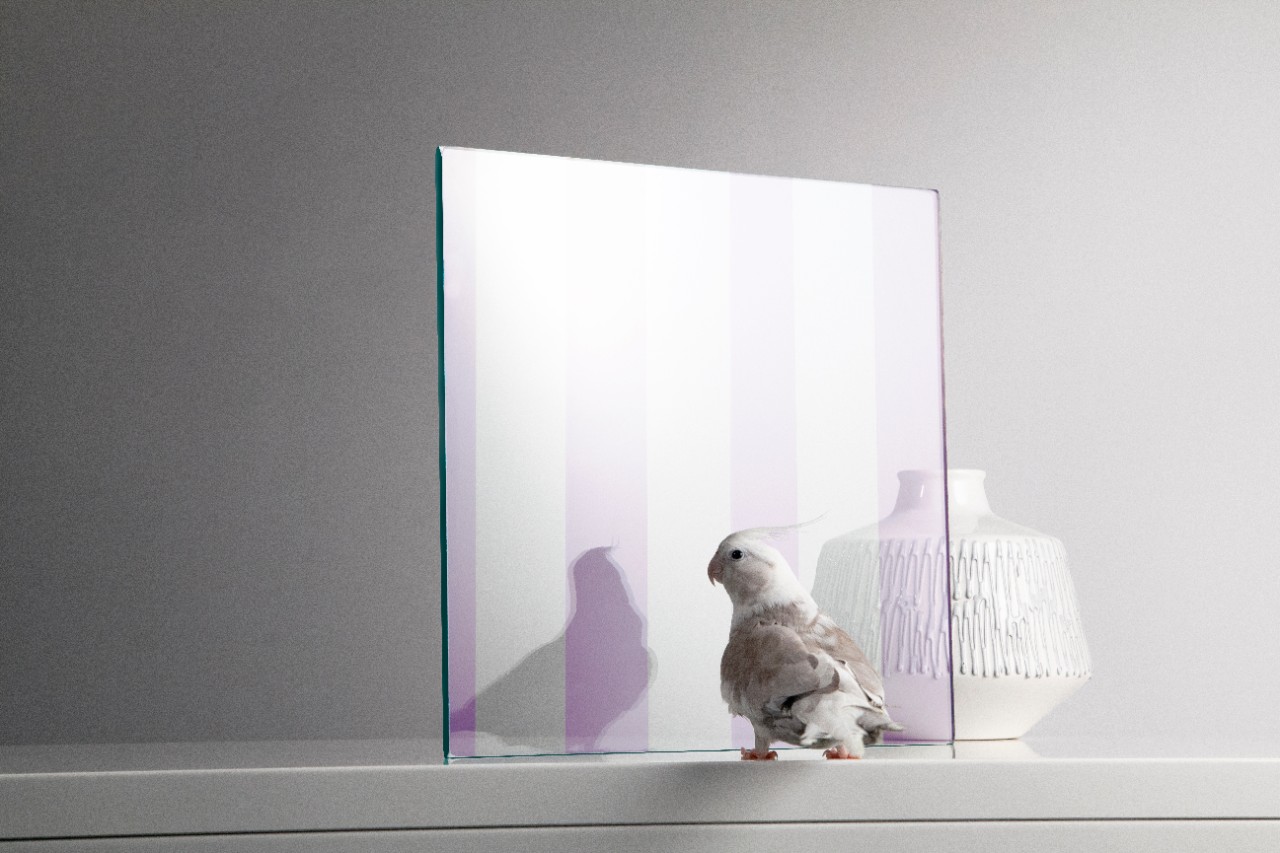 Bird Friendly Glazing