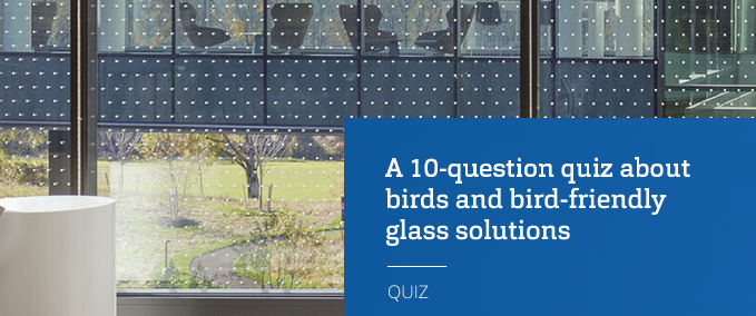 [Quiz] Test your knowledge about birds and bird-friendly glass solutions