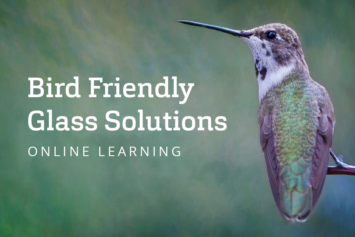 View all our bird-friendly solutions