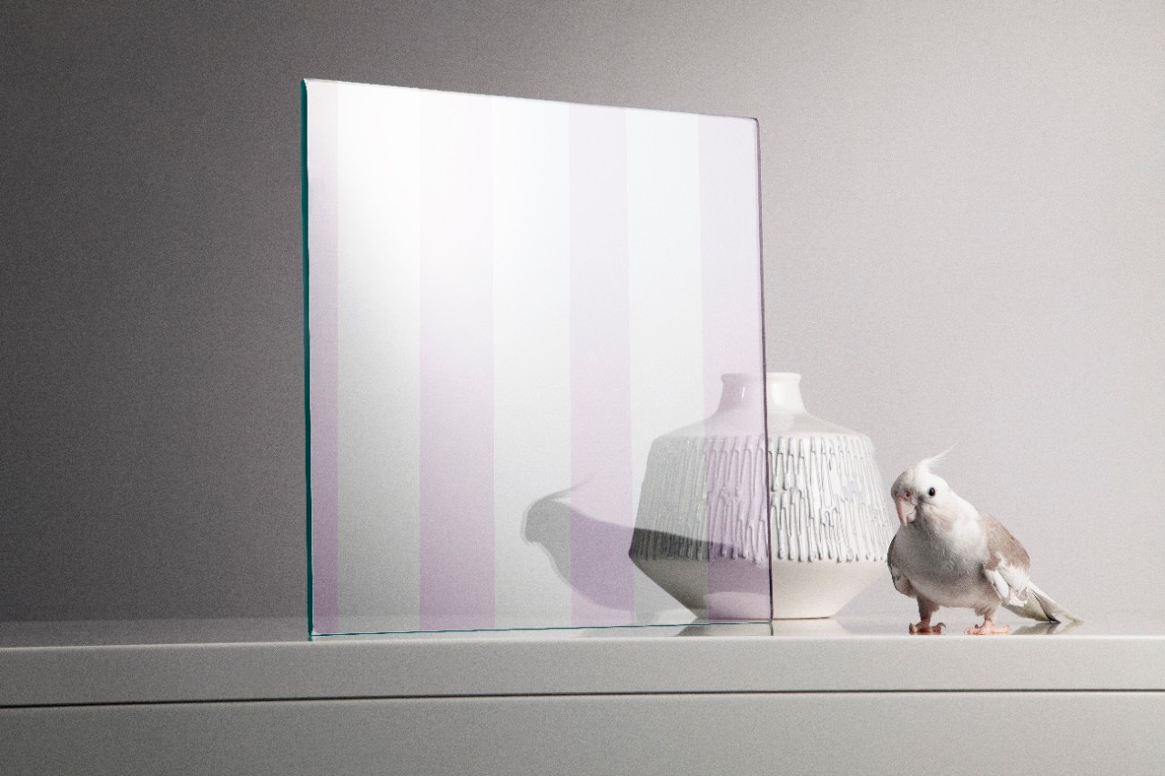 Bird Friendly Glazing